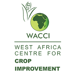 West Africa Centre for Crop Improvement