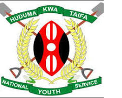 National Youth Service